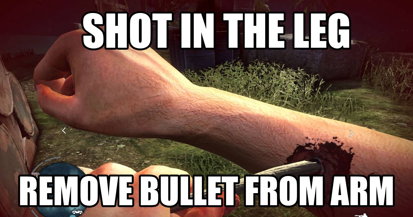 15 Hilarious Far Cry Memes Only True Fans Will Get TheGamer