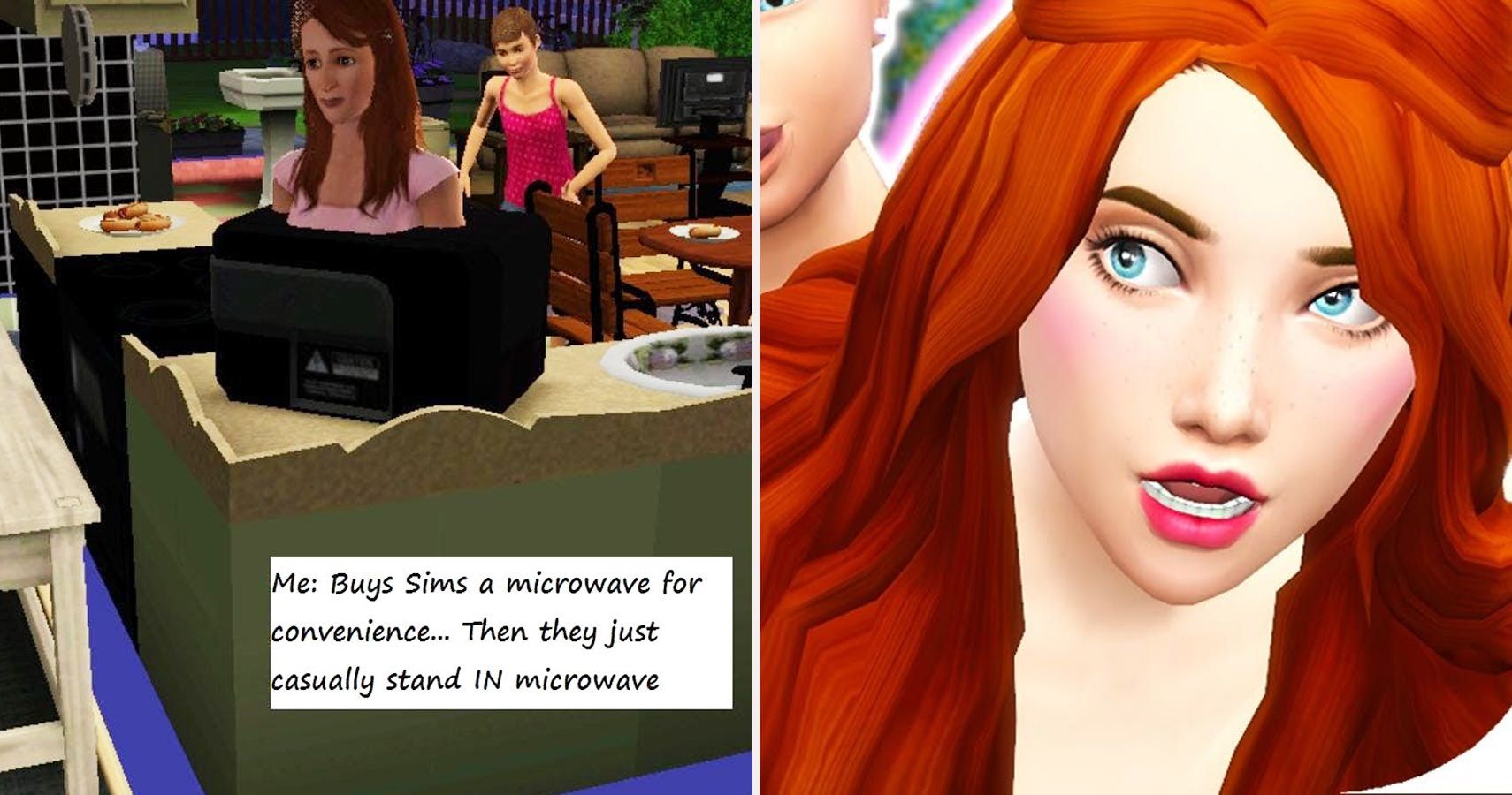 Hilarious The Sims Memes Only True Fans Will Understand