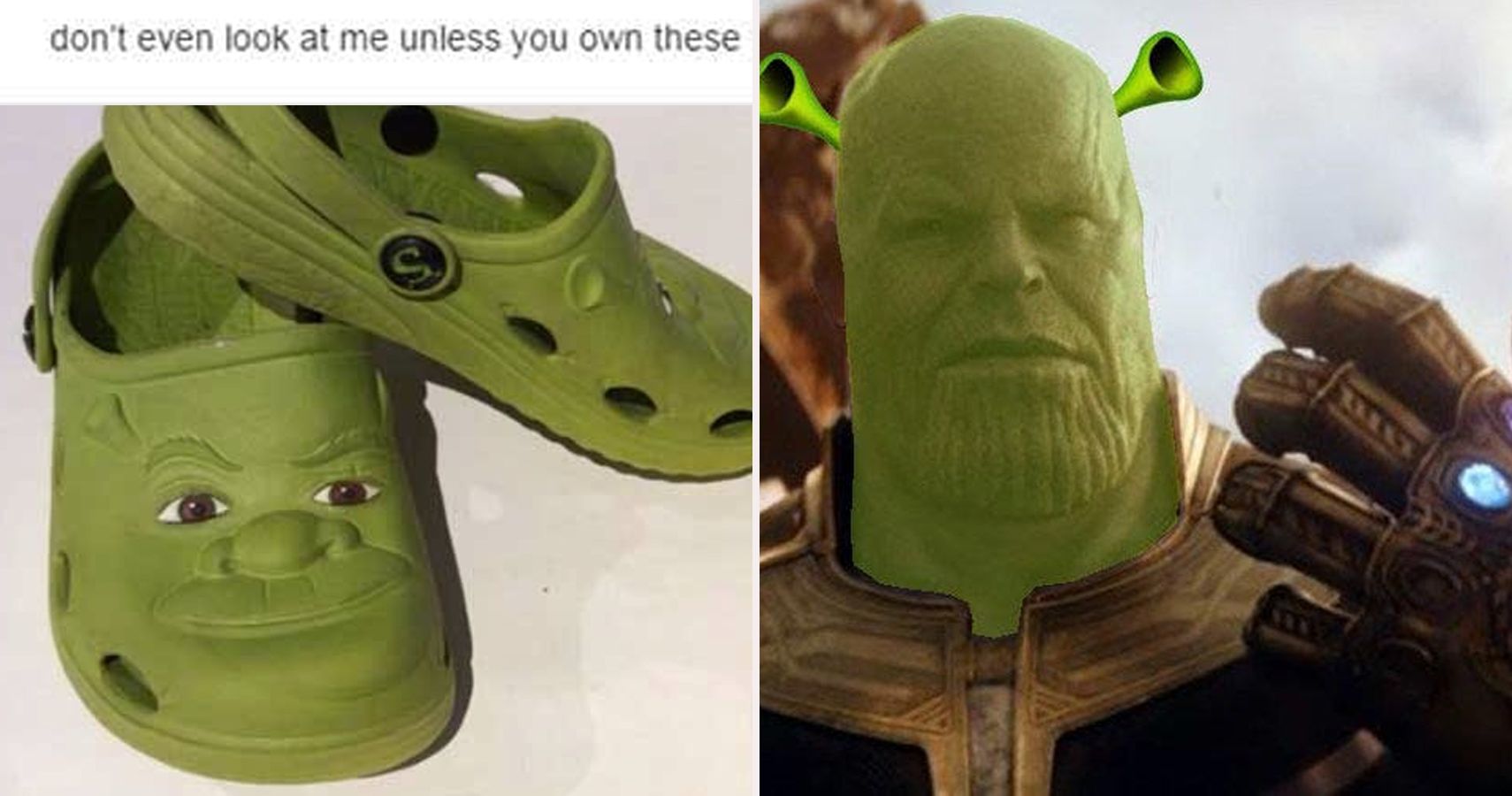 Featured image of post Shrek Hulk Meme Share the best gifs now
