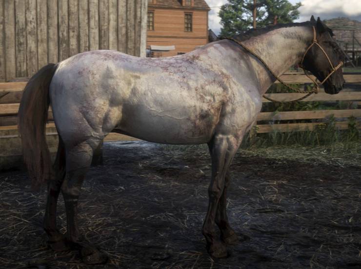 Red Dead Redemption 2 10 Best Horses Ranked Thegamer