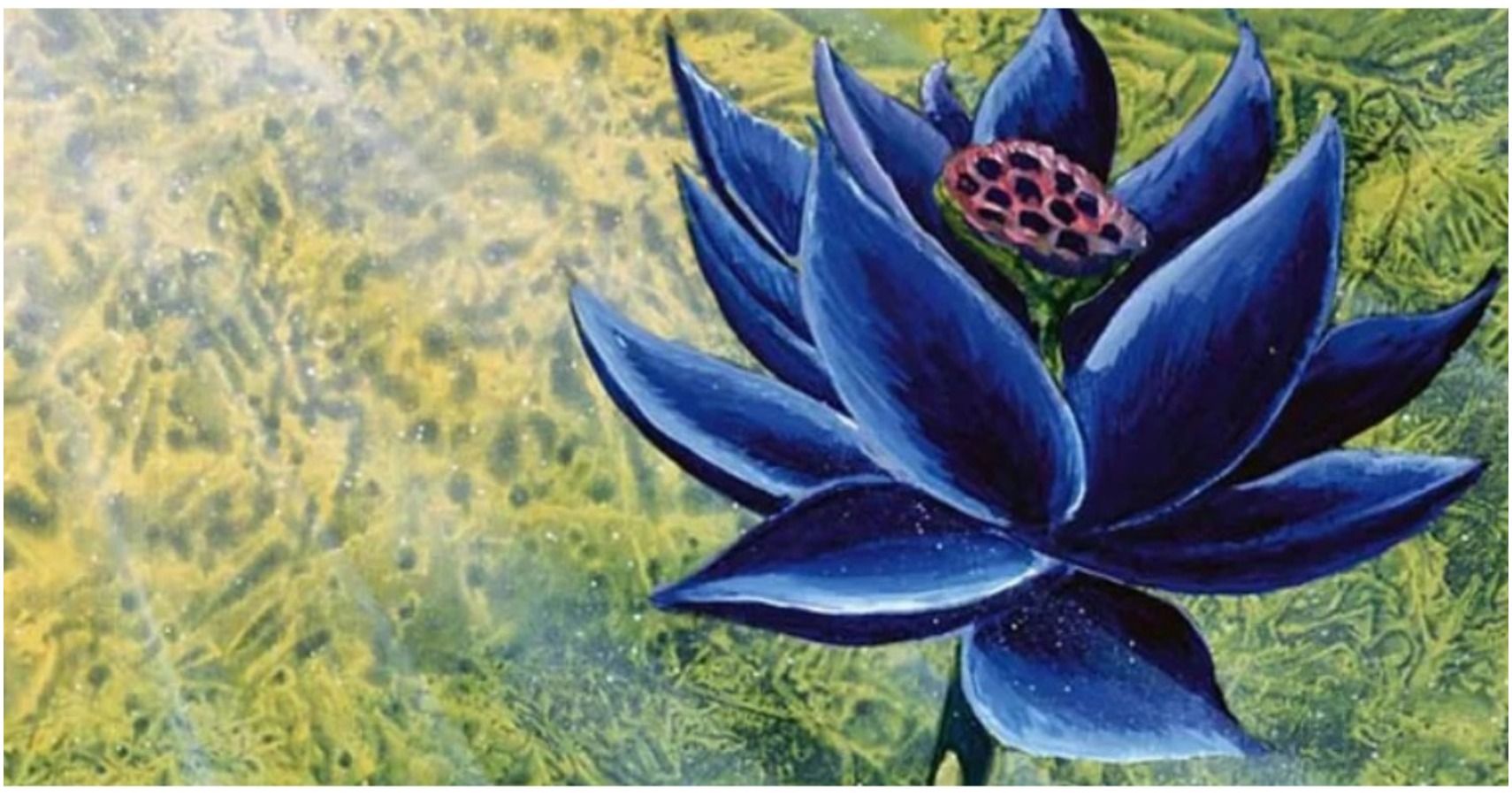 The black lotus