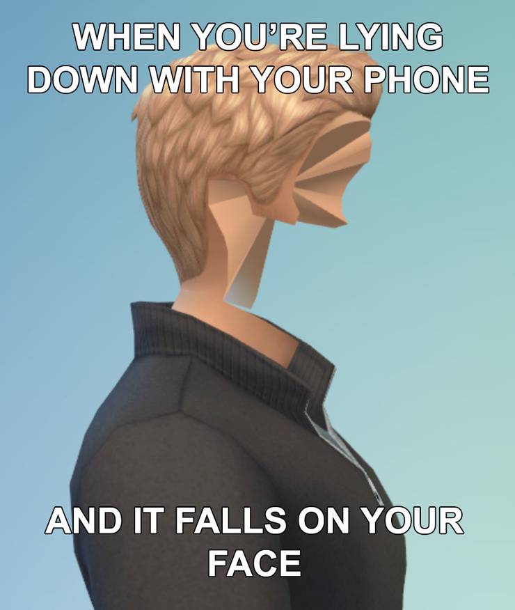 The Sims Unpalatable Logic Memebase Funny Memes