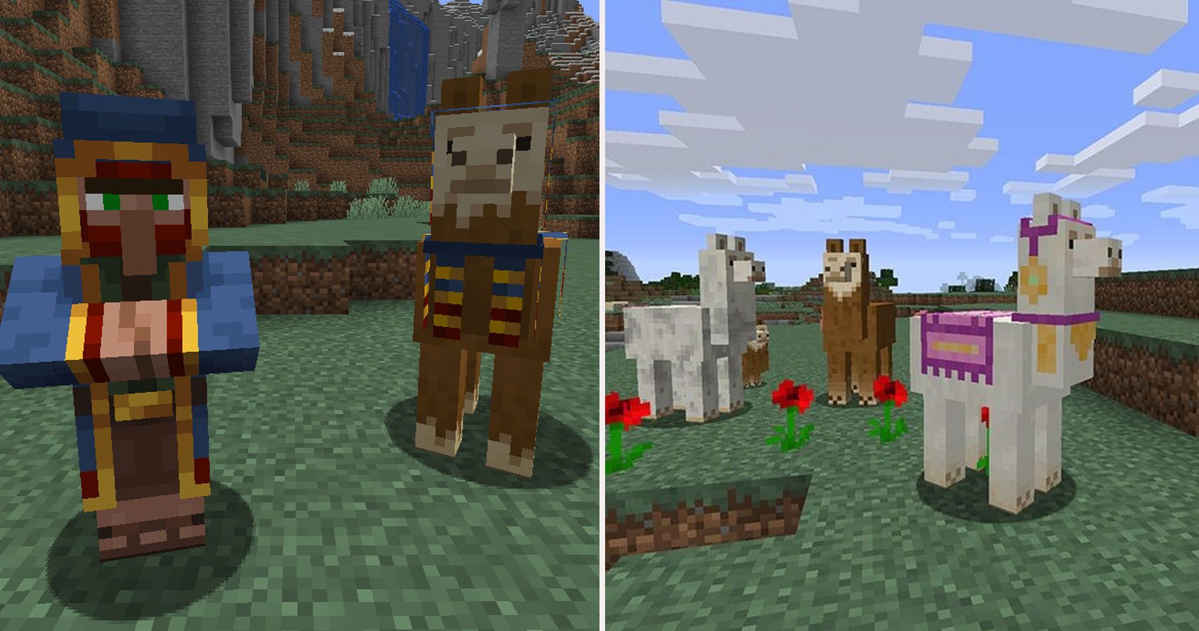 Can You Ride Llamas In Minecraft Ps4 Minecraft All You Need To Know About Llamas Thegamer