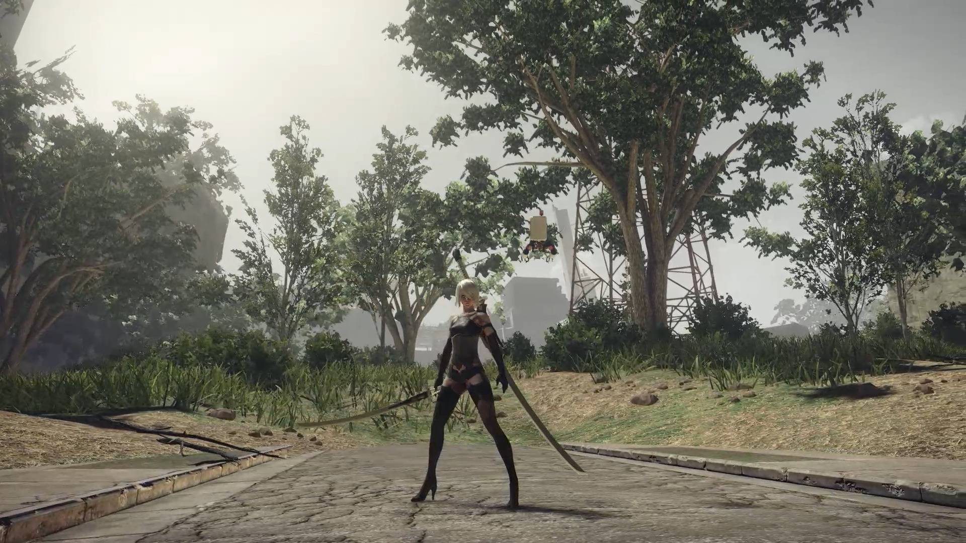 Featured image of post Nier Automata Wandering Couple Reformat A village of peaceful machines was wiped out through the actions of one deranged android