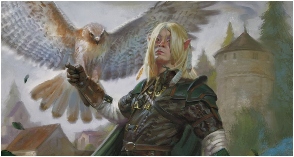 Dungeons Dragons Latest Unearthed Arcana Features A Beekeeper