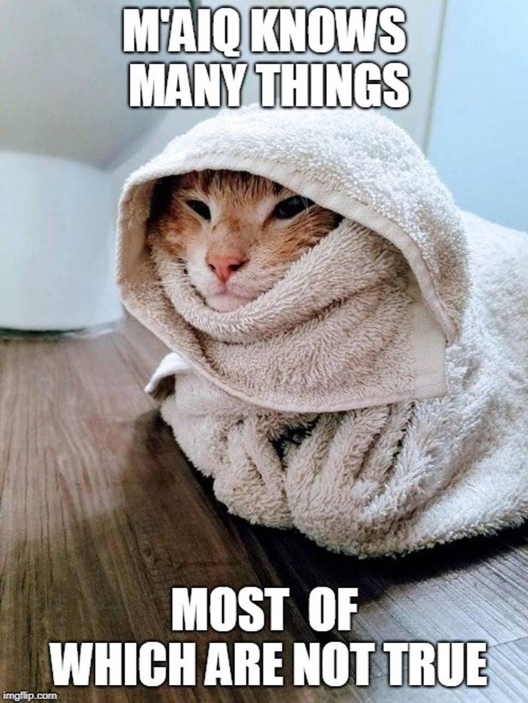 Skyrim 10 Khajiit Memes That Are Too Hilarious For Words