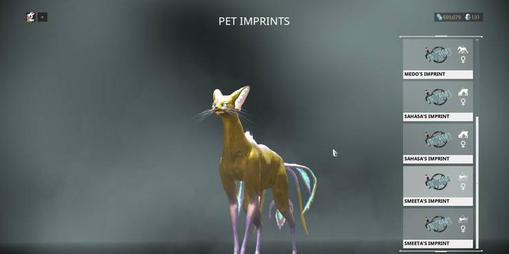 Warframe Top 15 Companions Ranked Thegamer Warframe Top 15 Companions Ranked Thegamer