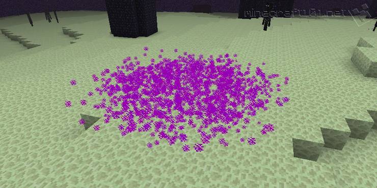 Minecraft 10 Things You Didn T Know About The Ender Dragon Her Egg Minecraft 10 Things You Didn T Know About The Ender Dragon Her Egg