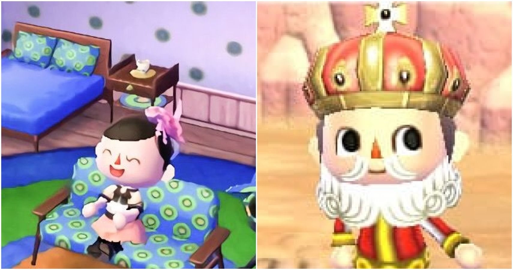 Animal Crossing 10 Of The Most Expensive Items In The Series
