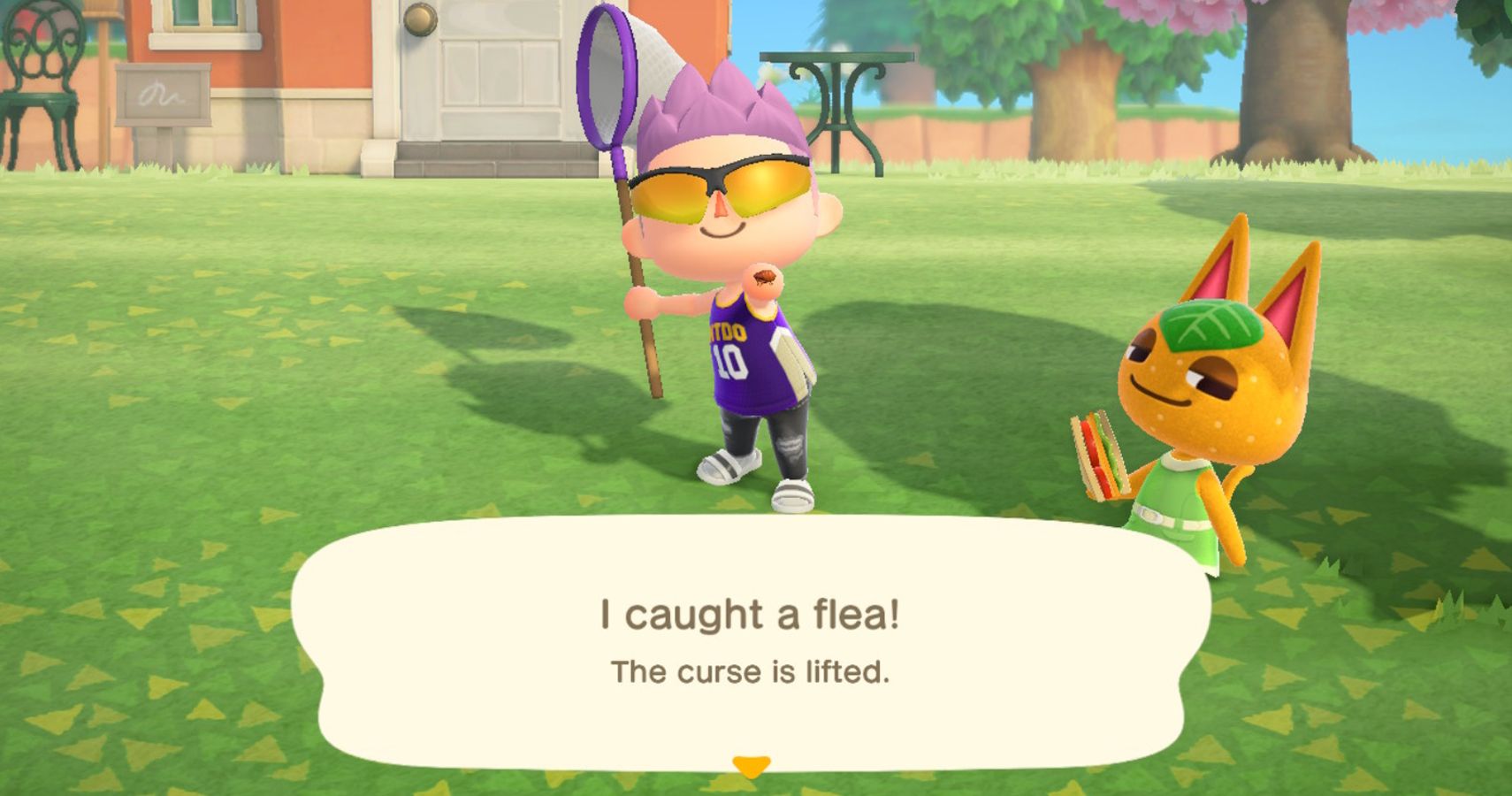 Animal Crossing New Horizons How To Catch Fleas TheGamer