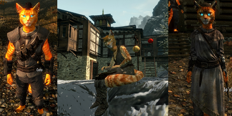 5 Of The Best Modded Followers In Skyrim 5 Of The Worst 5 Of The Best Modded Followers In Skyrim 5 Of The Worst