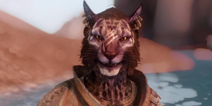 5 Of The Best Modded Followers In Skyrim 5 Of The Worst 5 Of The Best Modded Followers In Skyrim 5 Of The Worst