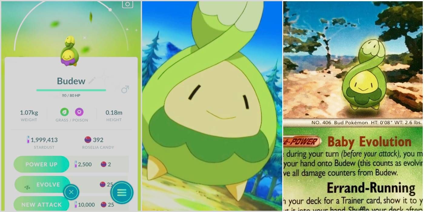 How To Evolve Budew 13 Other Facts About The Pokemon