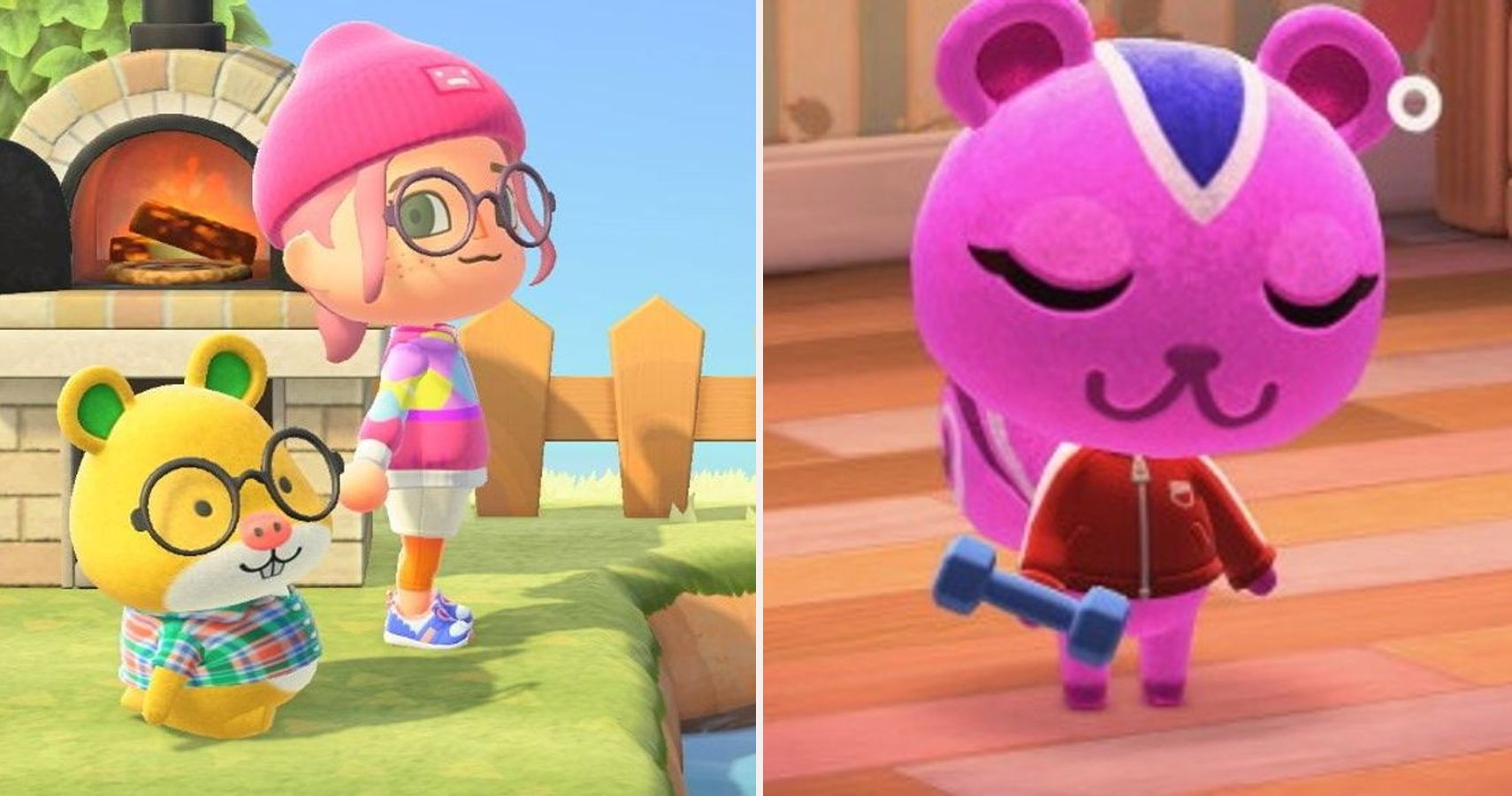 Animal Crossing Every Gemini Villager TheGamer