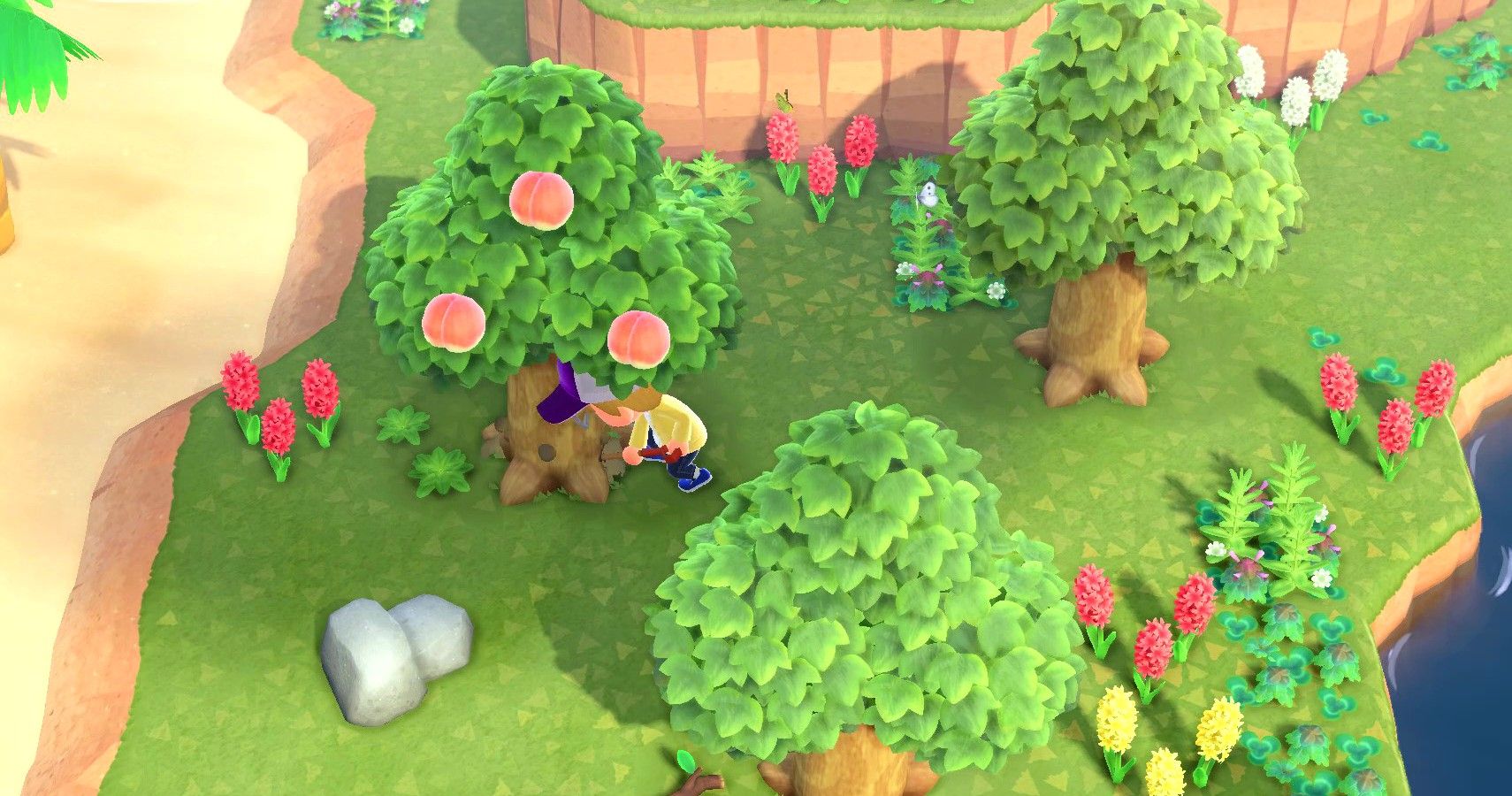 Animal Crossing New Horizons Everything To Know About Trees