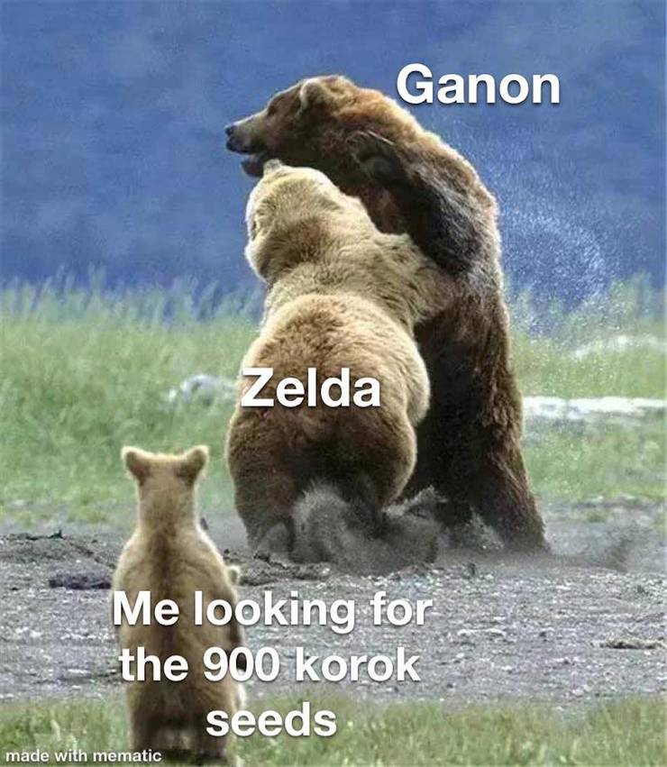 The Legend Of Zelda 10 Breath Of The Wild Zelda Memes That Are