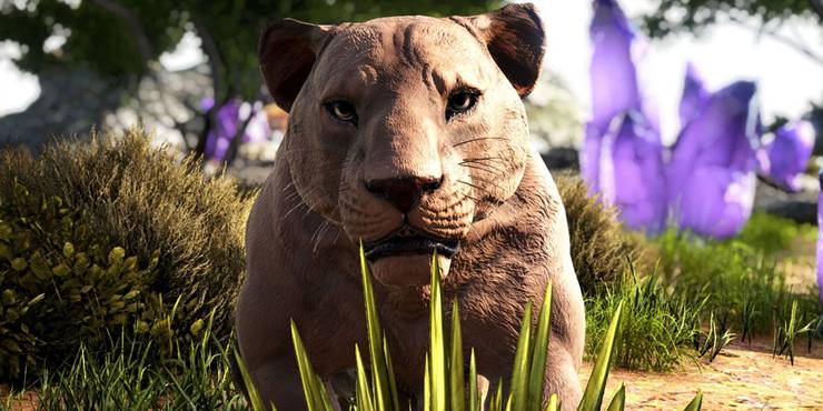 The 14 Best Ark Survival Evolved Mods So Far Thegamer The 14 Best Ark Survival Evolved Mods So Far Thegamer