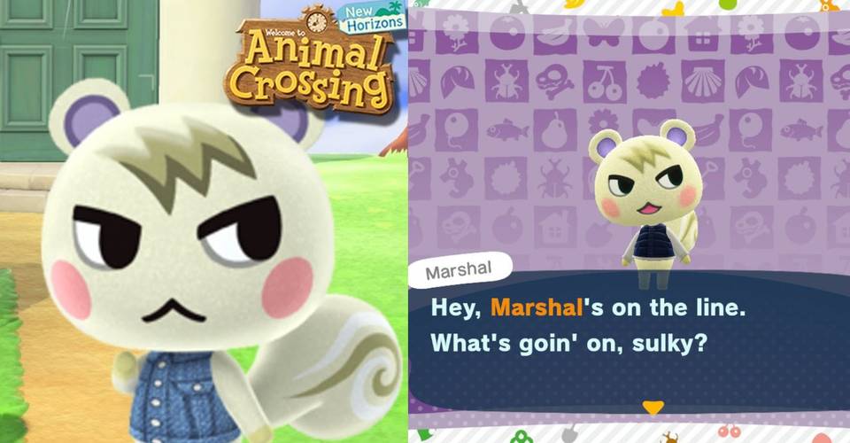 Download Animal Crossing 10 Hilarious Memes About Marshal Thegamer For iPhone Free Wallpaper Animal Crossing 10 Hilarious Memes About Marshal Thegamer Desktop Wallpaper