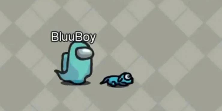 Among Us 10 Small Changes The Game Desperately Needs Thegamer