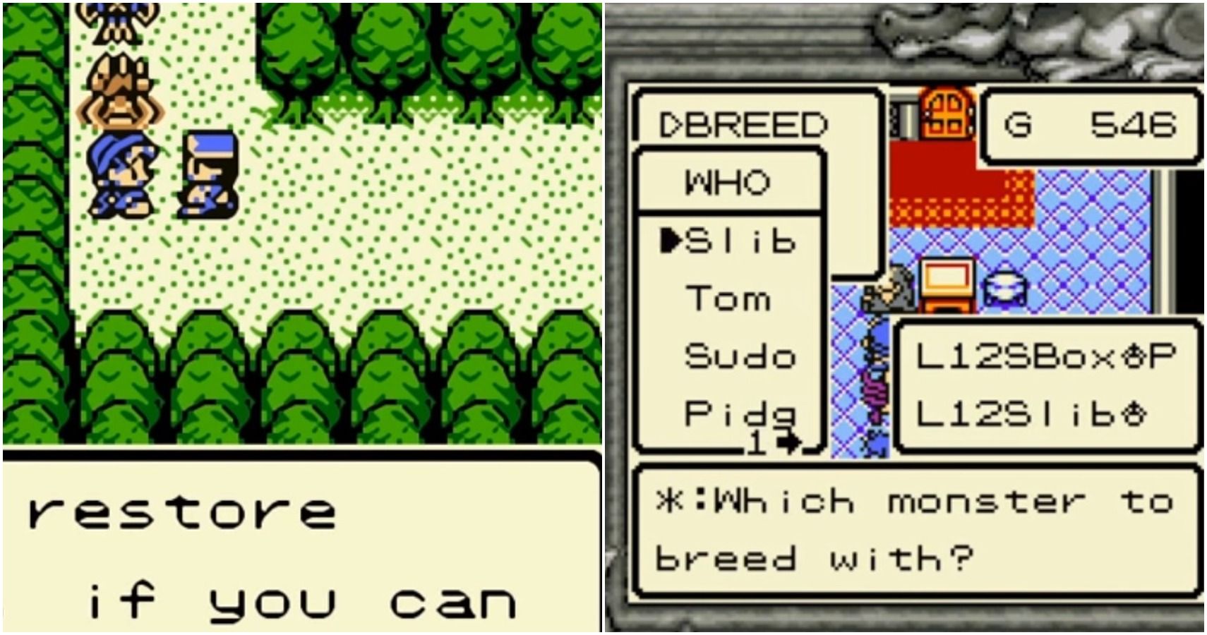 10 Things Dragon Warrior Monsters Did Better Than Pokemon