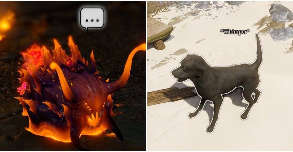 Divinity original sin 2 pet pal worth it Divinity original sin 2 pet pal worth it