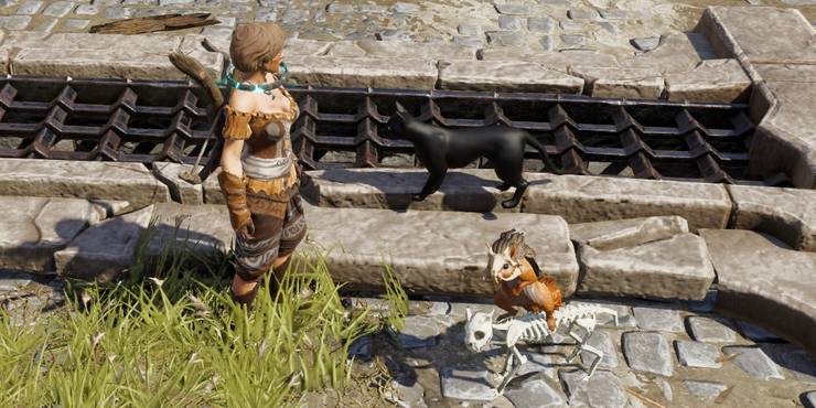 Pet pal divinity original sin Pet pal divinity original sin