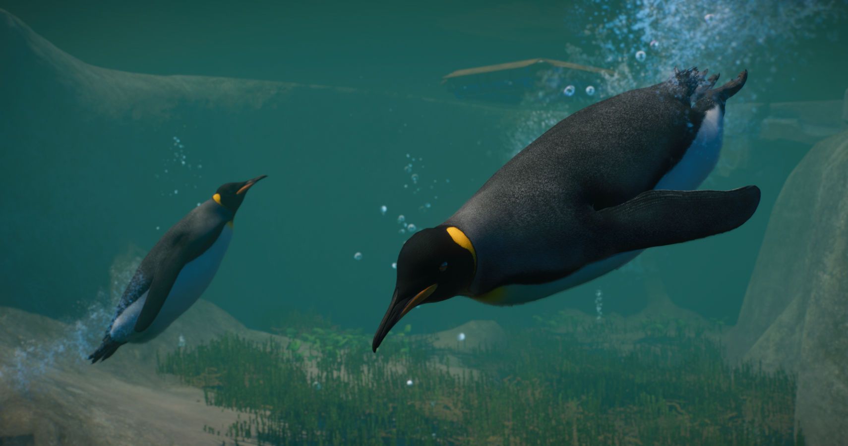 Planet Zoo Aquatic Pack Overview: Pick Up A Penguin | Xenocell.com