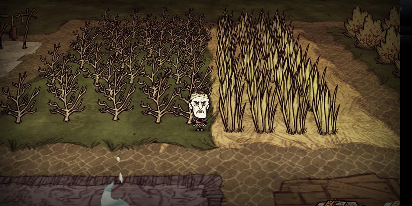 dont starve together loot stash