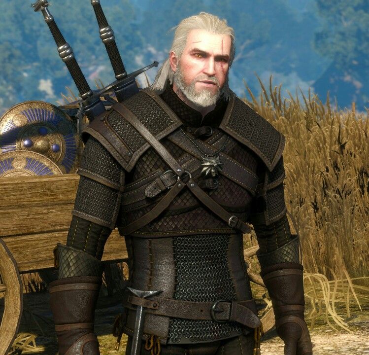 Когда выйдет witcher