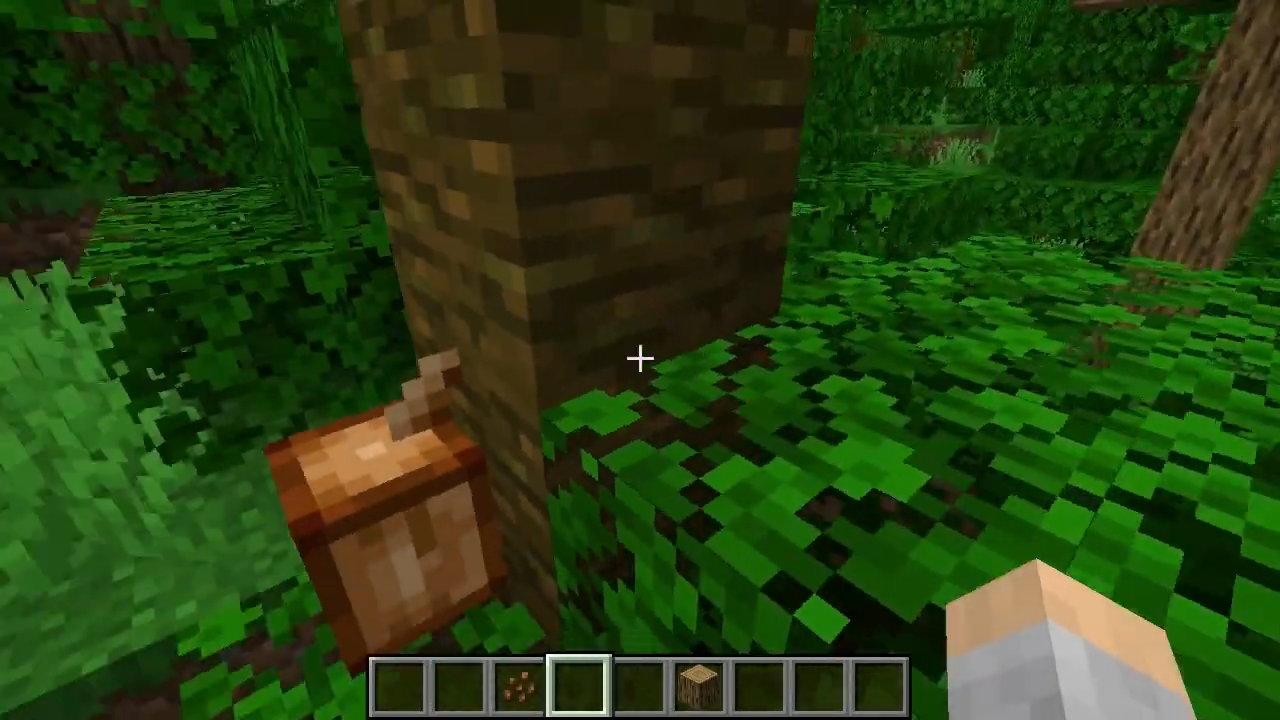 Minecraft How To Grow Cocoa Beans