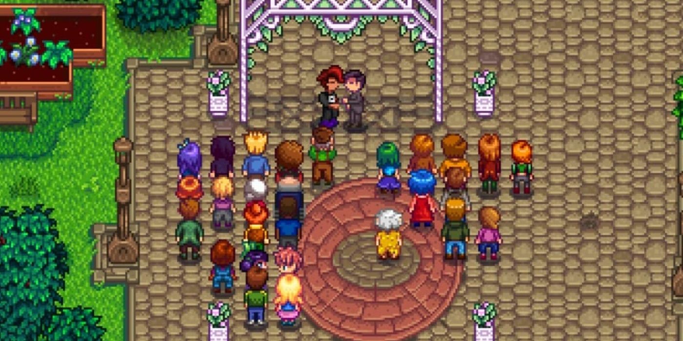 Stardew Valley A Complete Guide To Marrying Shane Thegamer