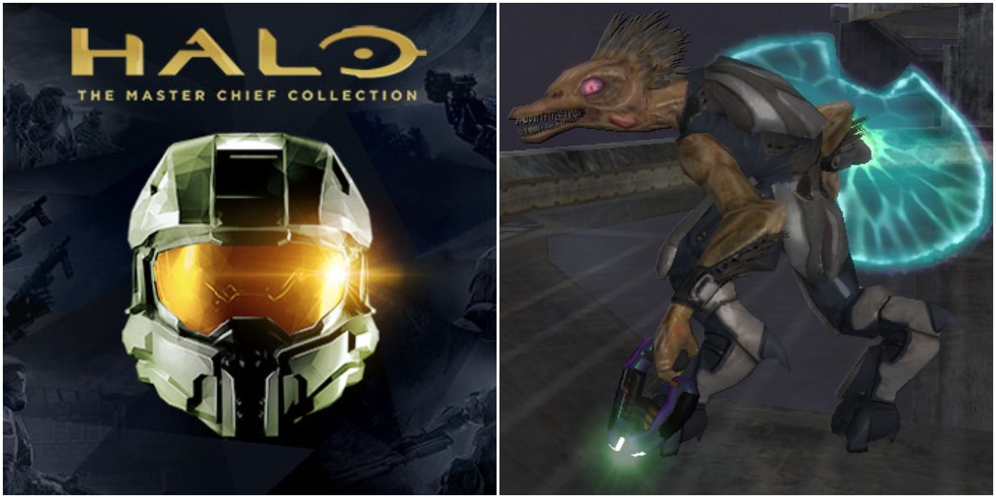 Halo 10 Things You Never Knew About Jackals Thegamer