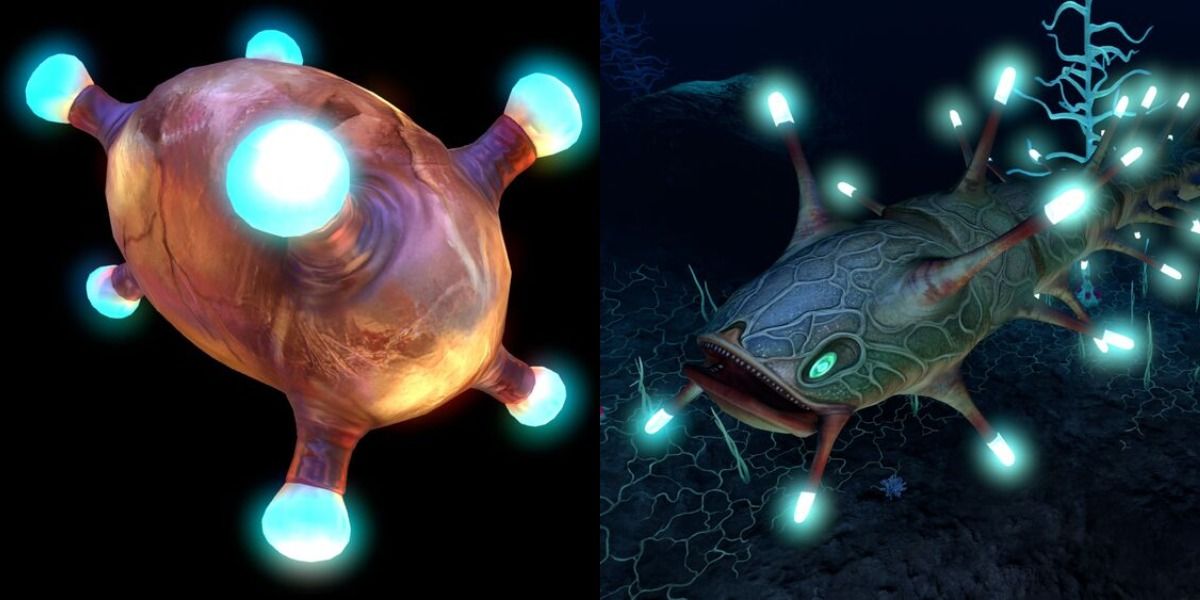 list of subnautica eggs