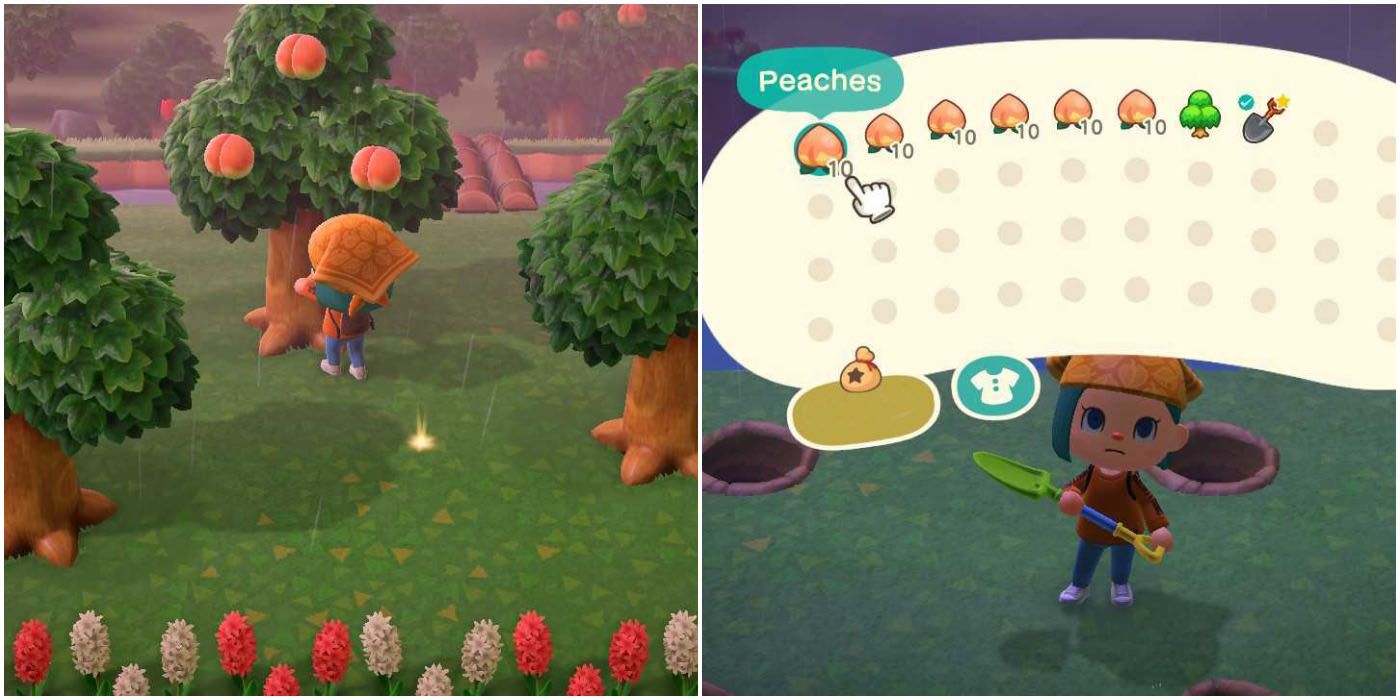 Animal Crossing New Horizons: How To Make A Fruit Orchard