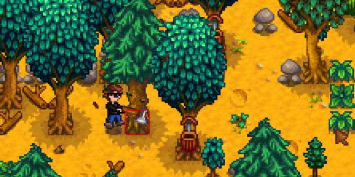 stardew maple tree